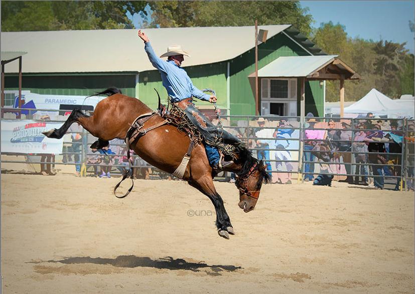 091919 Wine Country Rodeo 1